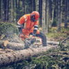 Motorová píla Husqvarna 560 XP Mark ll - Image 5