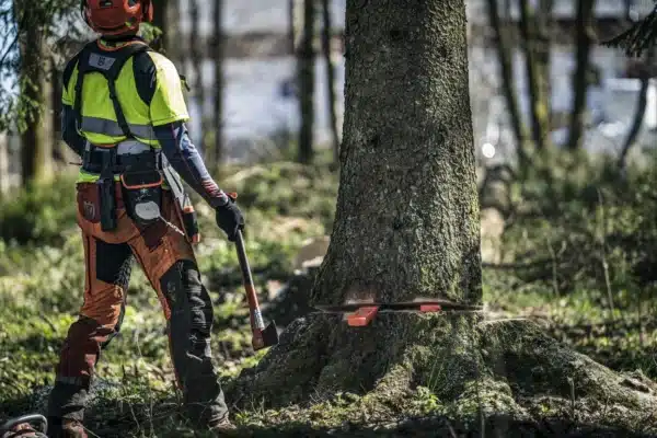 Pilčík v ochrannom oblečení Husqvarna používa sekeru na zatĺkanie plastových klinov do rezu stromu.
