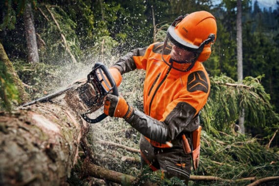 Motorová píla STIHL MS 462 C-M VW v akcii pri ťažbe silného dreva.