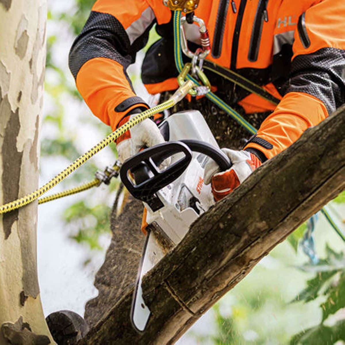 Motorová píla STIHL AKU STIHL MSA 161 T - Image 2