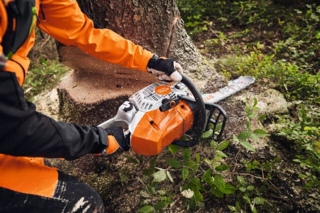 Drevorubač v ochrannej výbave štartuje motorovú pílu STIHL MS 400.