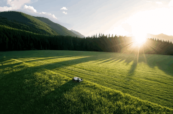 Robotická kosačka Mammotion LUBA 3 AWD pri kosení rozľahlej lúky v horskom prostredí.