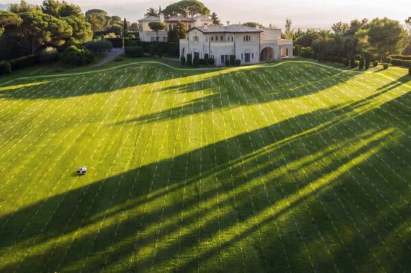 Luba 3 kusí trávnik veľkej plochy.